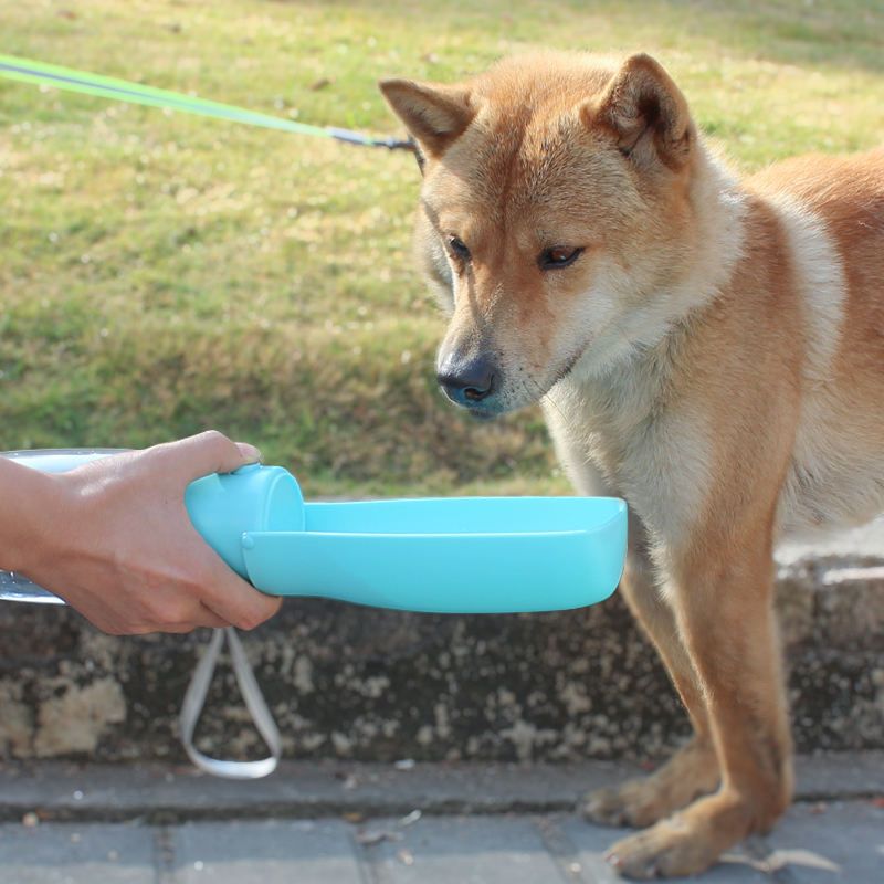 foldable pet water bottle