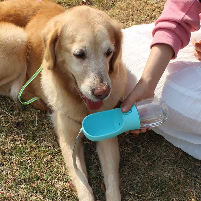 foldable pet water bottle