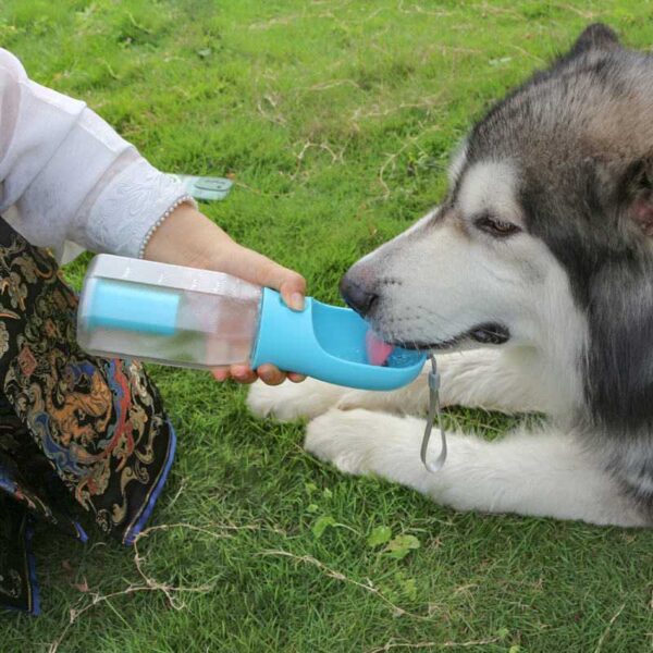 travel dog water bottle