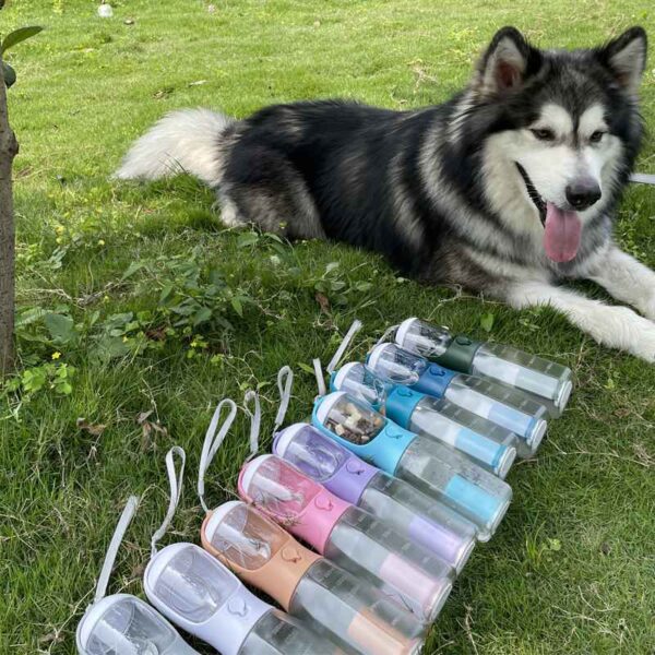 dog water bottle
