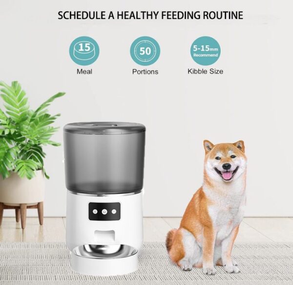 dog food feeder