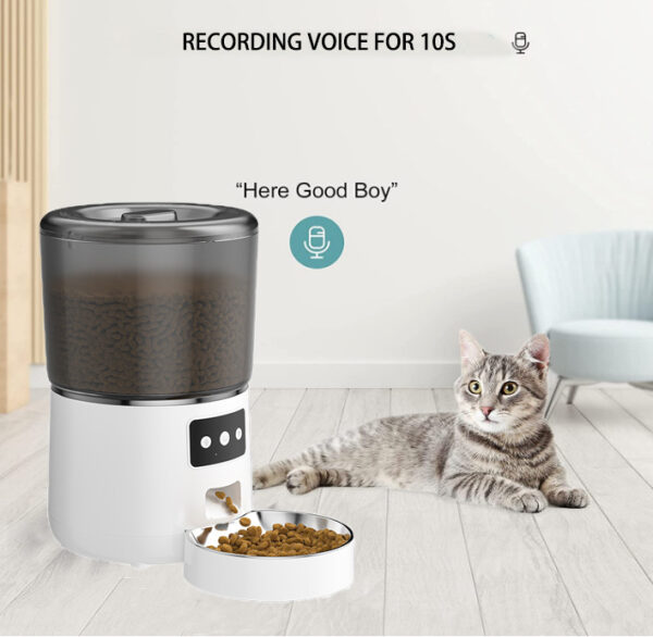 pet food feeder